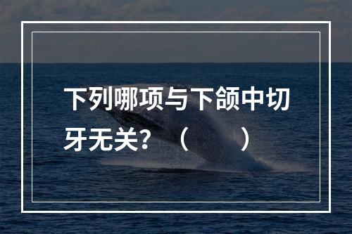 下列哪项与下颌中切牙无关？（　　）