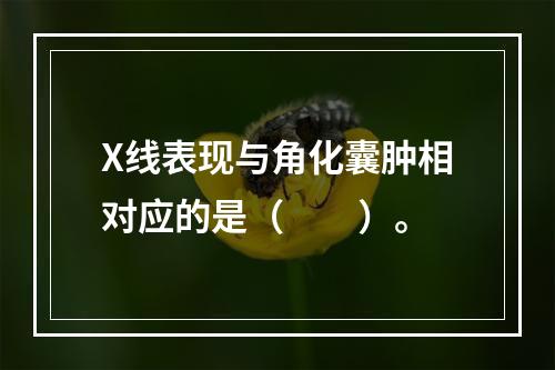 X线表现与角化囊肿相对应的是（　　）。