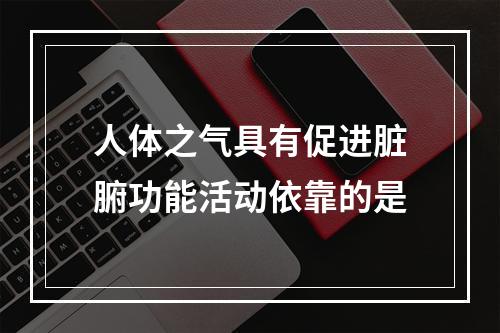 人体之气具有促进脏腑功能活动依靠的是