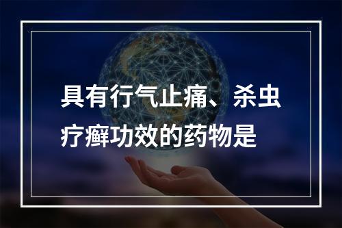 具有行气止痛、杀虫疗癣功效的药物是