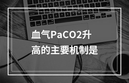 血气PaCO2升高的主要机制是