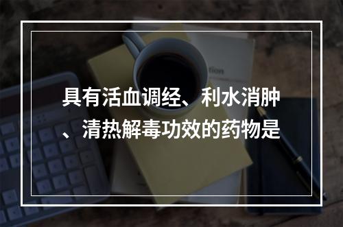 具有活血调经、利水消肿、清热解毒功效的药物是