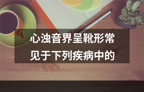 心浊音界呈靴形常见于下列疾病中的