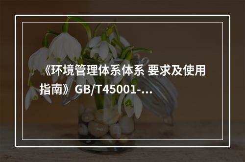 《环境管理体系体系 要求及使用指南》GB/T45001-20