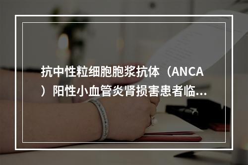 抗中性粒细胞胞浆抗体（ANCA）阳性小血管炎肾损害患者临床