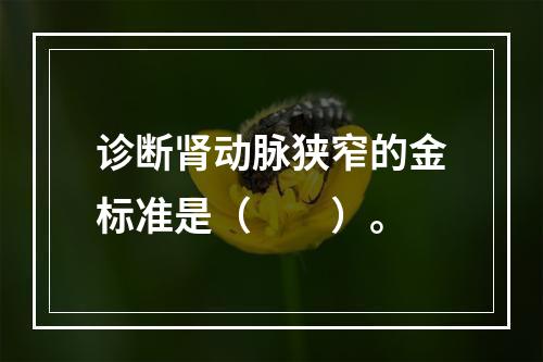 诊断肾动脉狭窄的金标准是（　　）。