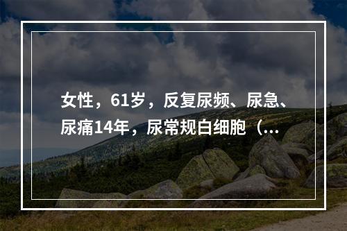 女性，61岁，反复尿频、尿急、尿痛14年，尿常规白细胞（＋