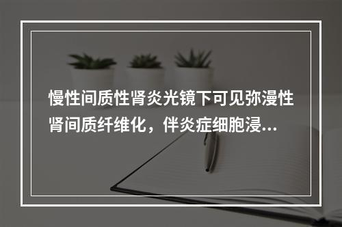 慢性间质性肾炎光镜下可见弥漫性肾间质纤维化，伴炎症细胞浸润