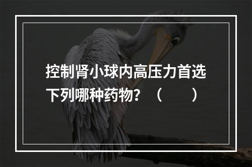 控制肾小球内高压力首选下列哪种药物？（　　）