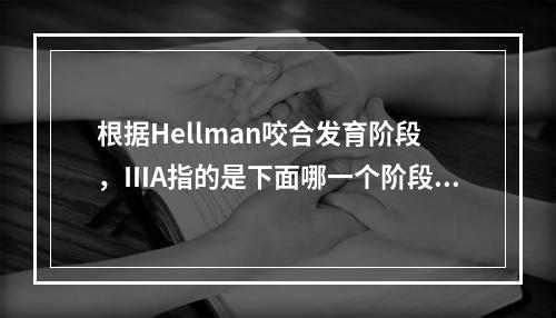 根据Hellman咬合发育阶段，ⅢA指的是下面哪一个阶段？（