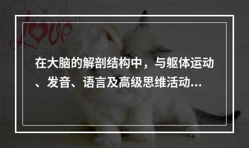 在大脑的解剖结构中，与躯体运动、发音、语言及高级思维活动关