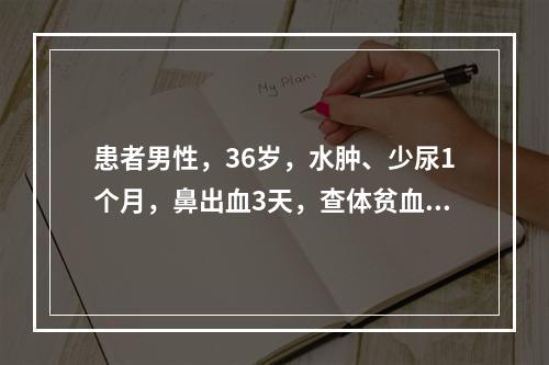 患者男性，36岁，水肿、少尿1个月，鼻出血3天，查体贫血貌