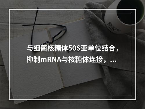 与细菌核糖体50S亚单位结合，抑制mRNA与核糖体连接，阻止