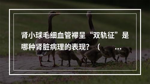 肾小球毛细血管襻呈“双轨征”是哪种肾脏病理的表现？（　　）