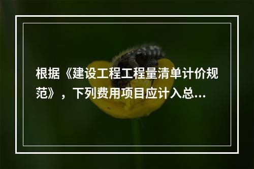 根据《建设工程工程量清单计价规范》，下列费用项目应计入总承包