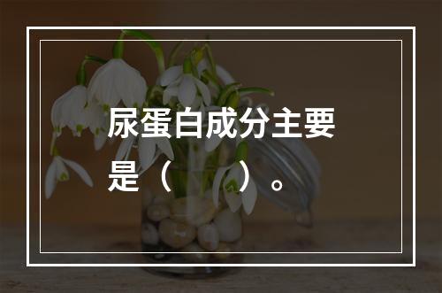 尿蛋白成分主要是（　　）。