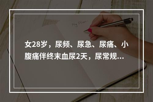 女28岁，尿频、尿急、尿痛、小腹痛伴终末血尿2天，尿常规许多