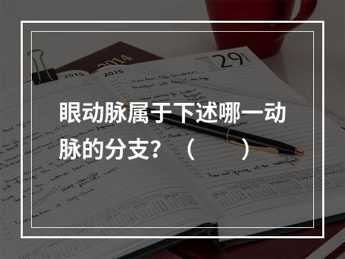 眼动脉属于下述哪一动脉的分支？（　　）