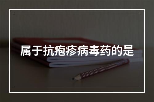 属于抗疱疹病毒药的是