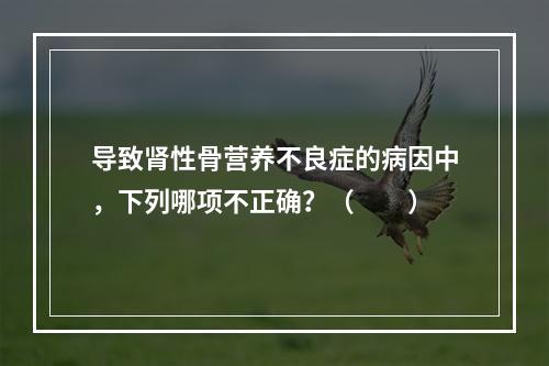 导致肾性骨营养不良症的病因中，下列哪项不正确？（　　）