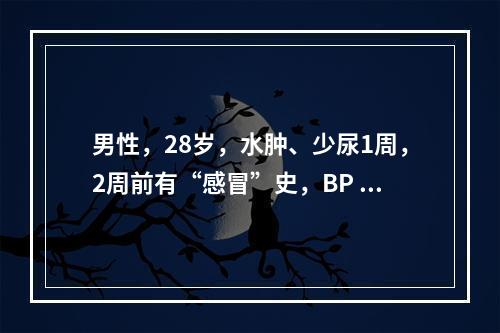 男性，28岁，水肿、少尿1周，2周前有“感冒”史，BP 1