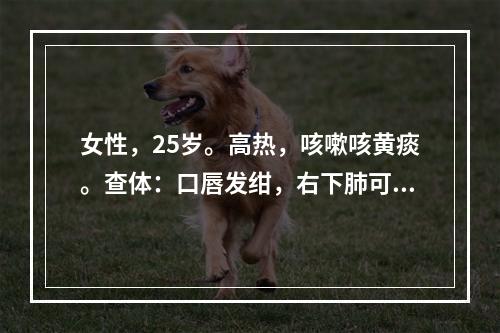 女性，25岁。高热，咳嗽咳黄痰。查体：口唇发绀，右下肺可闻及