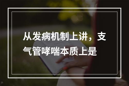 从发病机制上讲，支气管哮喘本质上是