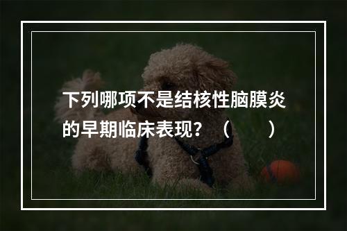 下列哪项不是结核性脑膜炎的早期临床表现？（　　）