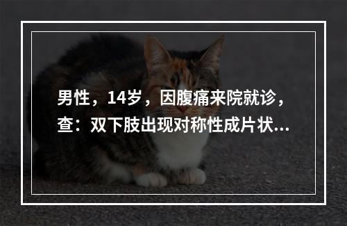 男性，14岁，因腹痛来院就诊，查：双下肢出现对称性成片状小