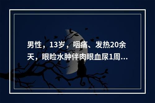 男性，13岁，咽痛、发热20余天，眼睑水肿伴肉眼血尿1周。