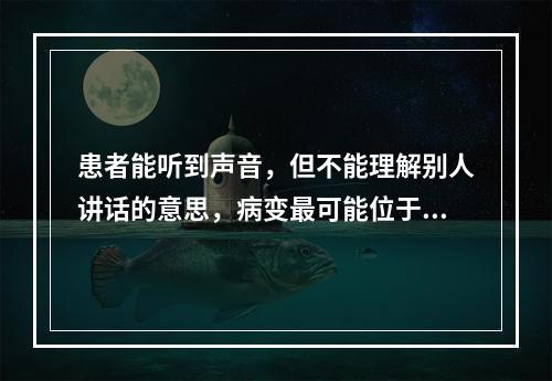 患者能听到声音，但不能理解别人讲话的意思，病变最可能位于（