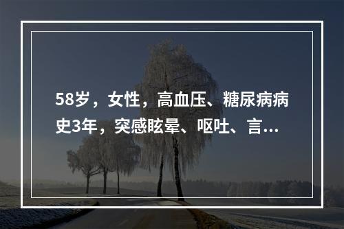 58岁，女性，高血压、糖尿病病史3年，突感眩晕、呕吐、言语