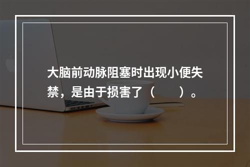 大脑前动脉阻塞时出现小便失禁，是由于损害了（　　）。