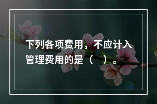 下列各项费用，不应计入管理费用的是（　）。