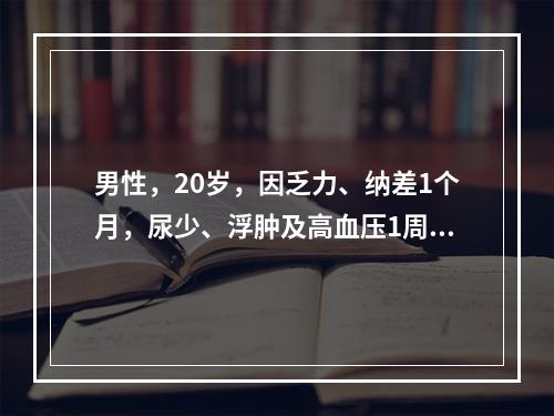 男性，20岁，因乏力、纳差1个月，尿少、浮肿及高血压1周，