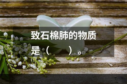 致石棉肺的物质是（　　）。