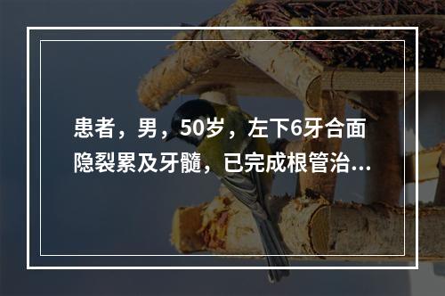 患者，男，50岁，左下6牙合面隐裂累及牙髓，已完成根管治疗，