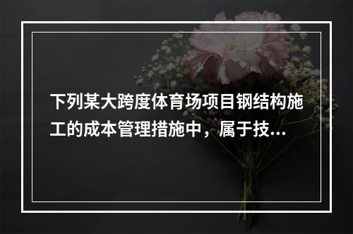 下列某大跨度体育场项目钢结构施工的成本管理措施中，属于技术措