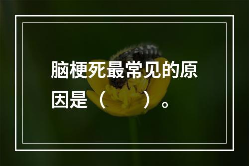 脑梗死最常见的原因是（　　）。