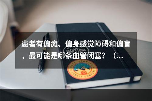 患者有偏瘫、偏身感觉障碍和偏盲，最可能是哪条血管闭塞？（　