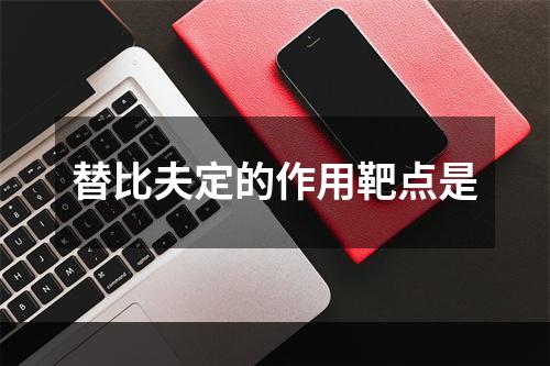 替比夫定的作用靶点是