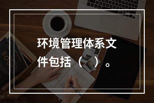 环境管理体系文件包括（　）。