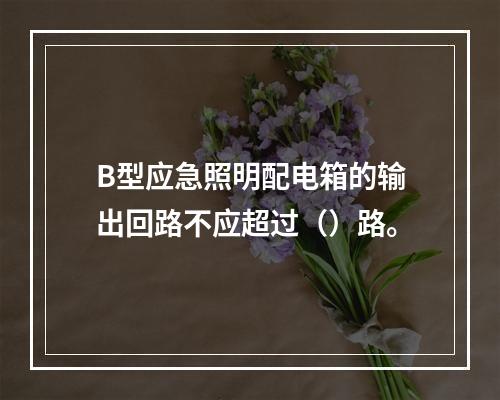 B型应急照明配电箱的输出回路不应超过（）路。