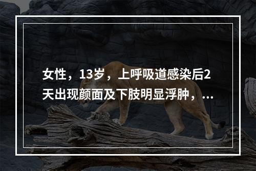 女性，13岁，上呼吸道感染后2天出现颜面及下肢明显浮肿，血