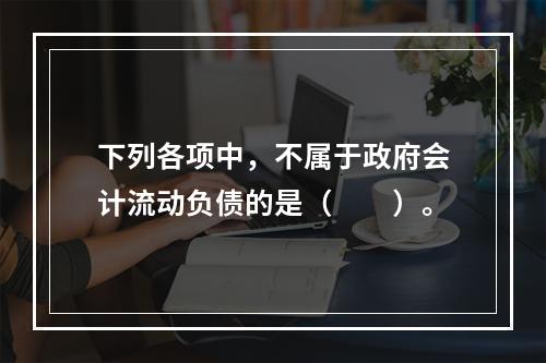 下列各项中，不属于政府会计流动负债的是（　　）。