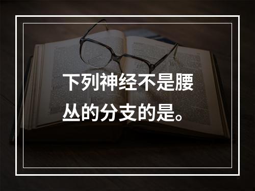 下列神经不是腰丛的分支的是。