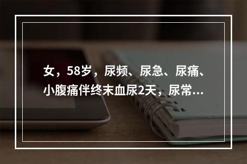 女，58岁，尿频、尿急、尿痛、小腹痛伴终末血尿2天，尿常规见