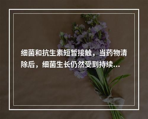 细菌和抗生素短暂接触，当药物清除后，细菌生长仍然受到持续抑制