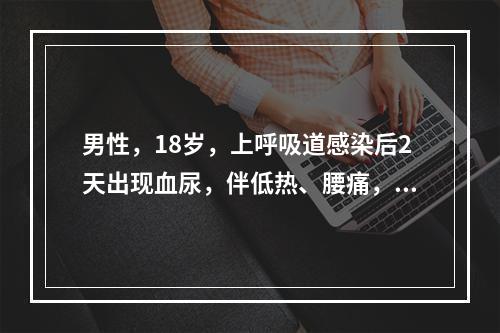 男性，18岁，上呼吸道感染后2天出现血尿，伴低热、腰痛，住