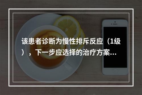 该患者诊断为慢性排斥反应（1级），下一步应选择的治疗方案是（